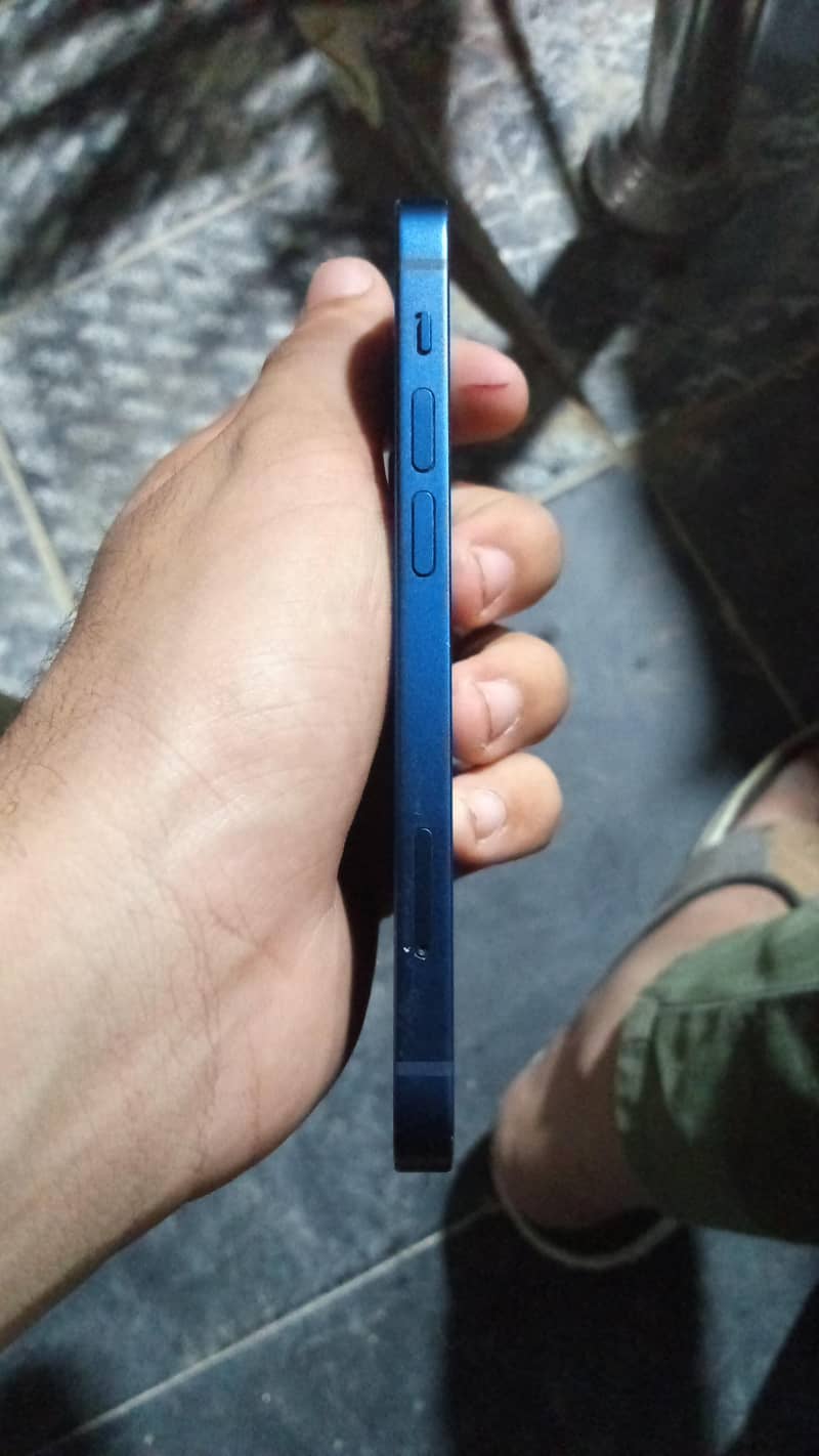 Apple iPhone 12 1