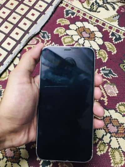 Apple iPhone 12 Pro