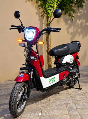 PGE-Electric Scooty 9 Months used with good batteries.