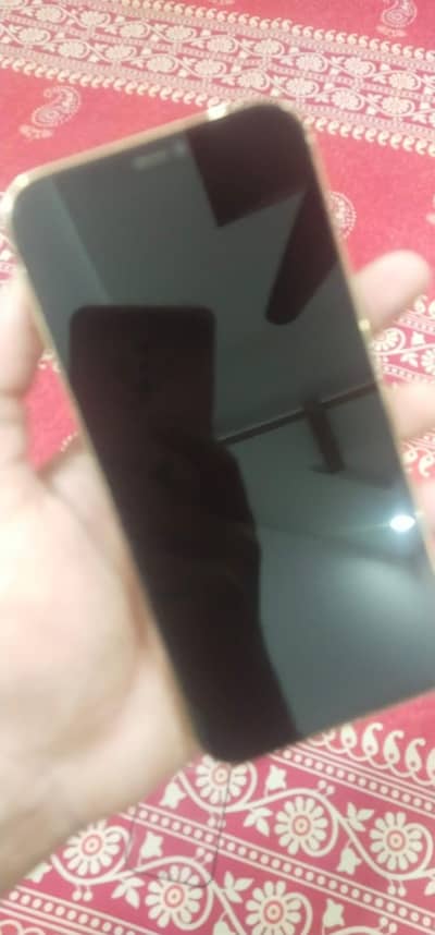 Apple iPhone 12 Pro Max