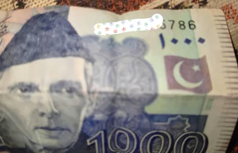 Unique 786 Fancy Serial Number 1000 Note (Collectible)