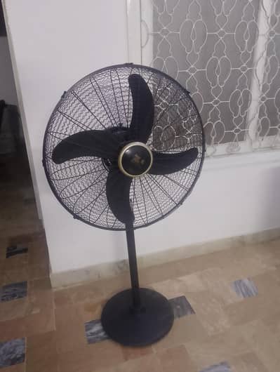 Stand Fan
