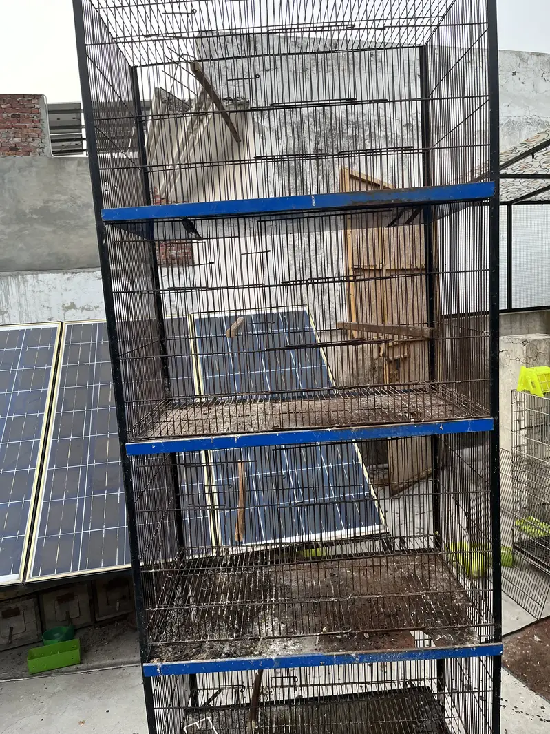 1.5 by 2.5 4 portion cage — photo 3