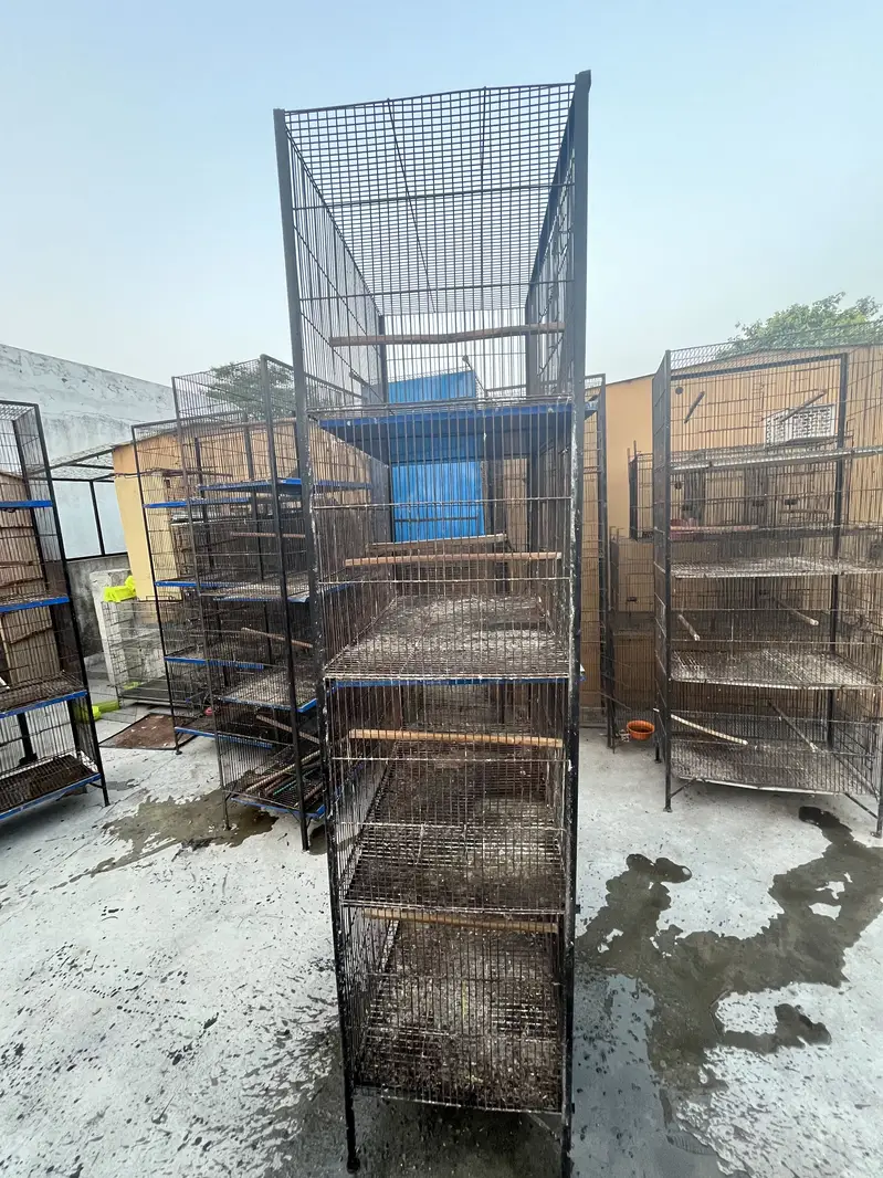 1.5 by 2.5 4 portion cage — photo 4
