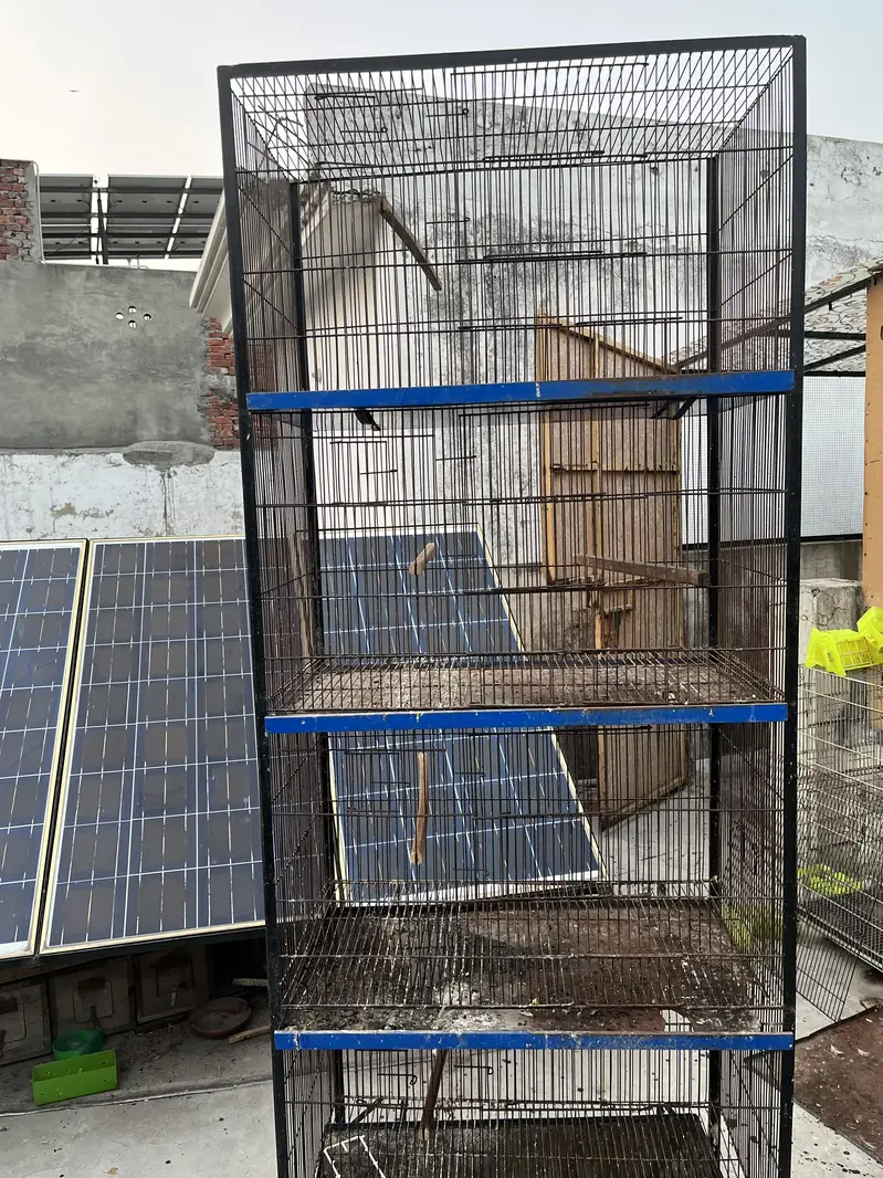 1.5 by 2.5 4 portion cage — photo 5