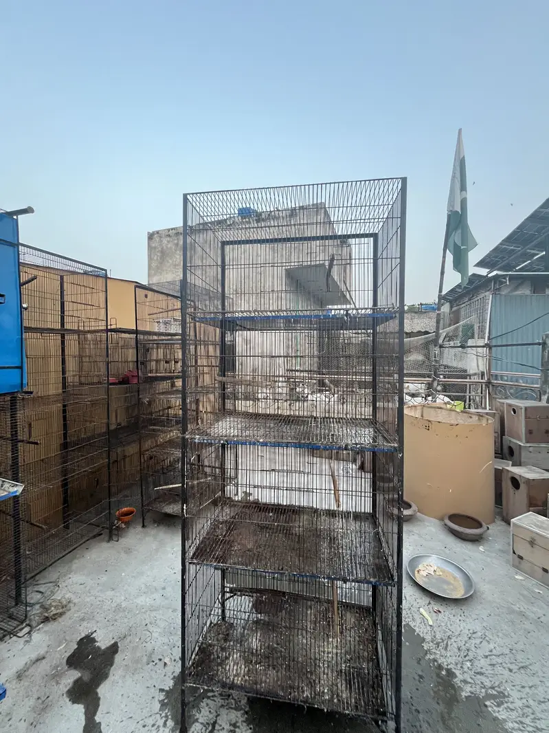 1.5 by 2.5 4 portion cage — photo 6