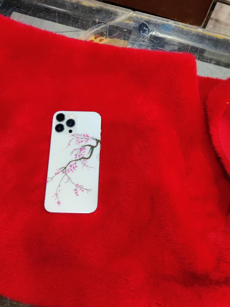 Apple iPhone 13 Pro Max 2