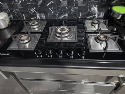 golden fuji stove