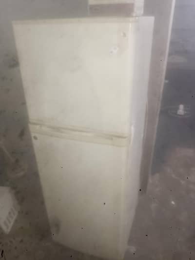 Dowlance Fradgh for Urgent sale