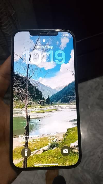 Apple iPhone 12 Pro Max