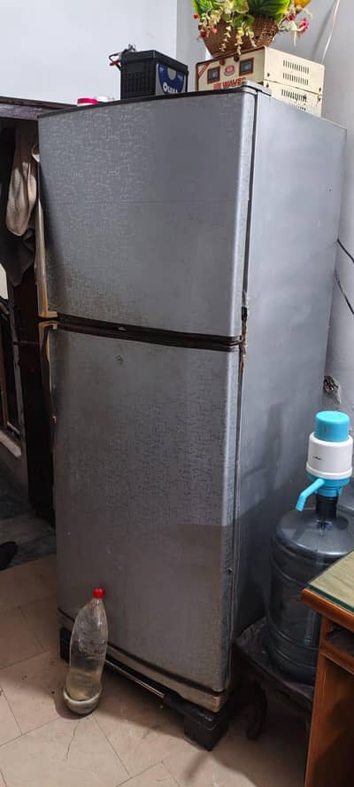 dalliance medium size freezer