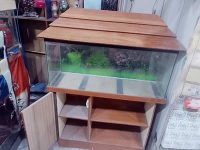 Fish Aquarium
