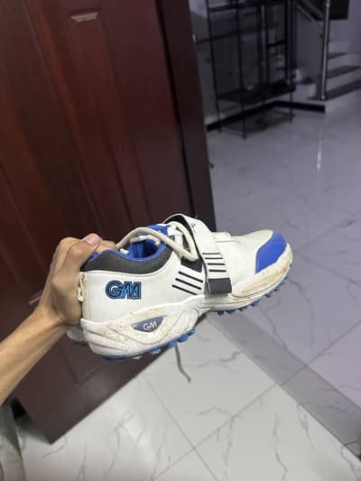 GM Cricket shoes 42
