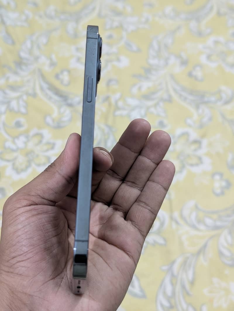 Apple iPhone 12 Pro Max 1
