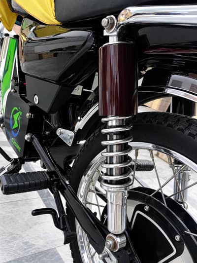 Electric Bike 70 Pakzoon