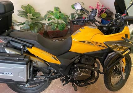 Carrera 250cc Up For Sale