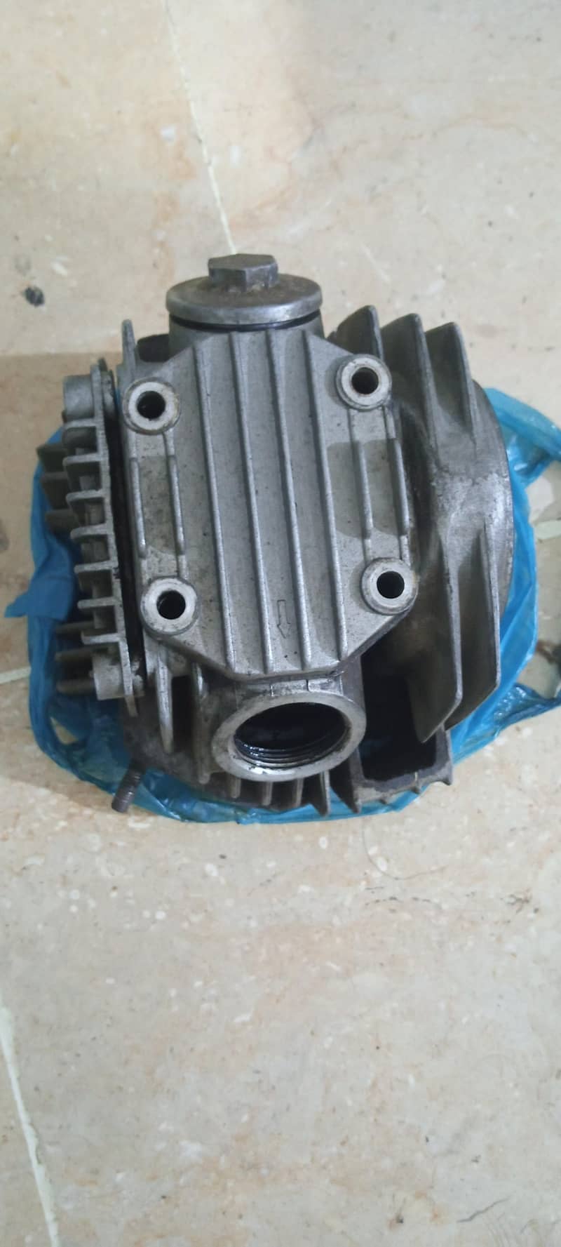 CD70 Head 0