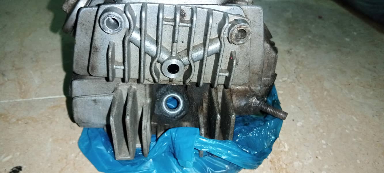 CD70 Head 1