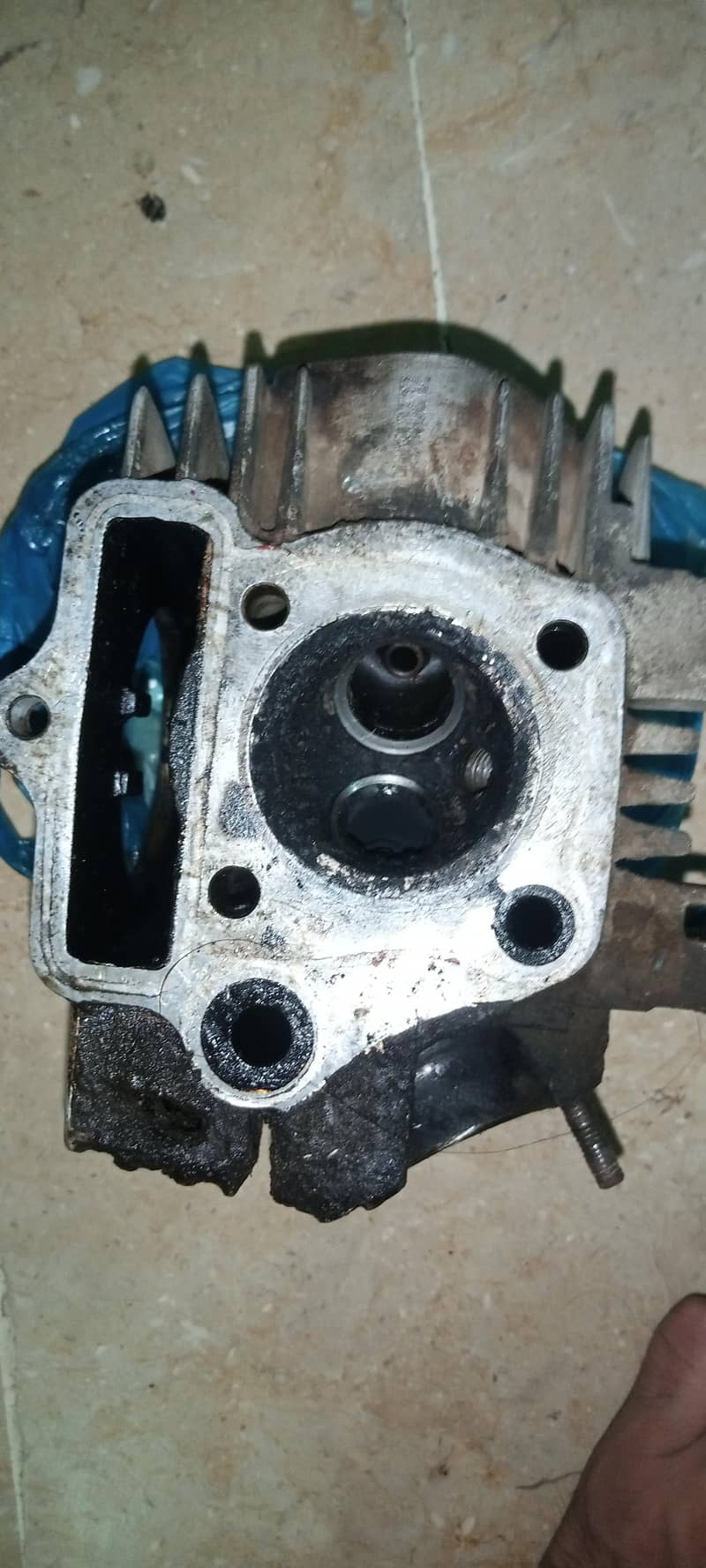 CD70 Head 3