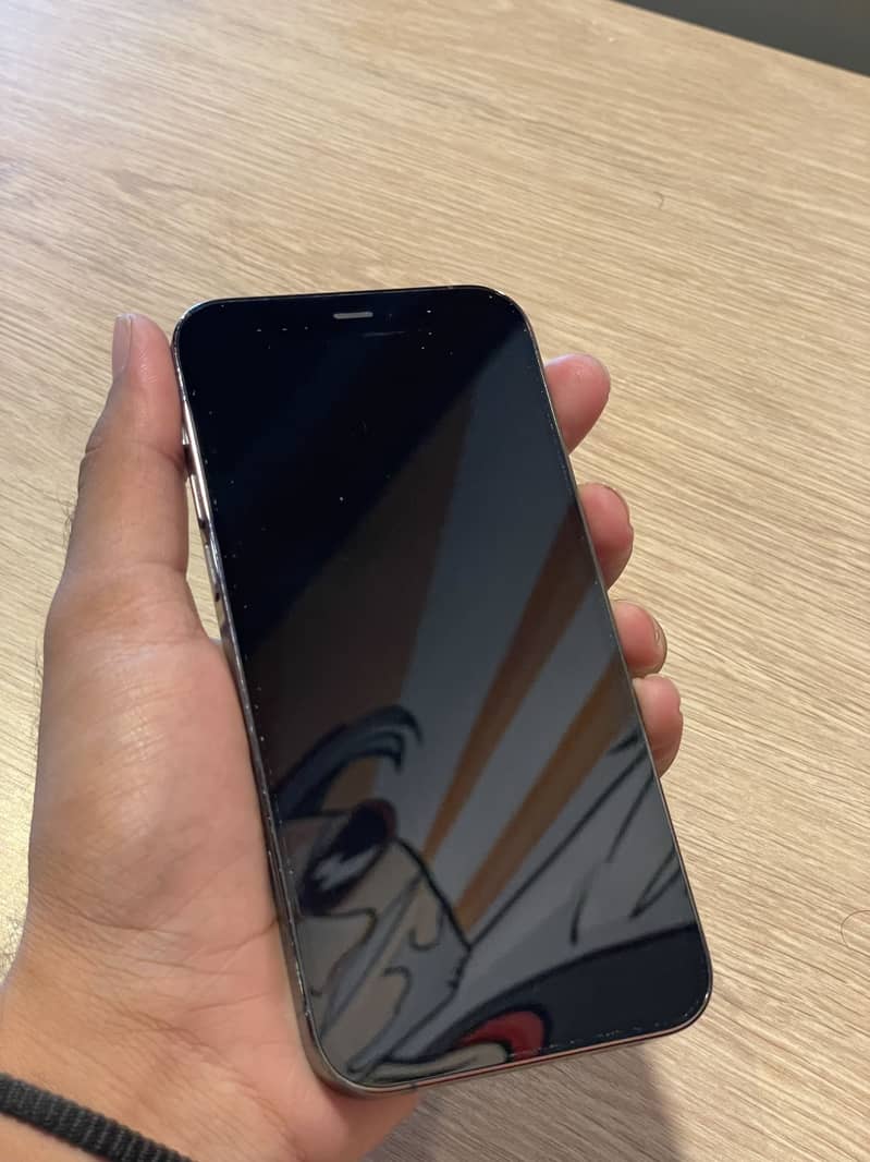 Apple iPhone 12 Pro 3