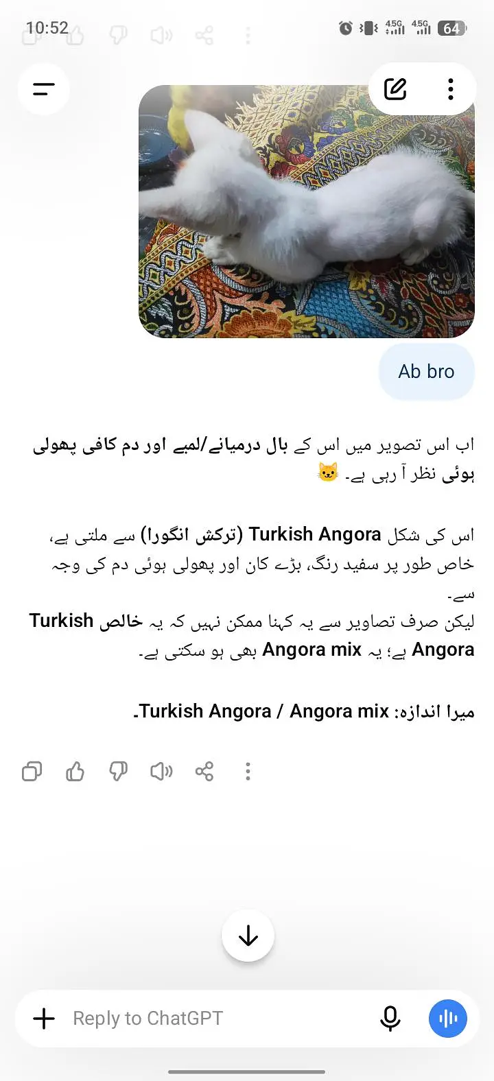 muj atna ni pta ya kn nasal hai GPT chat sai bta Kya hai pick daklo — photo 6
