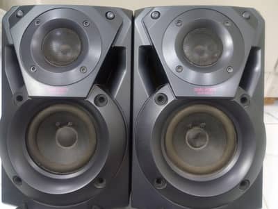 Panasonic speaker