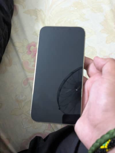 Apple iPhone 12 Pro Max