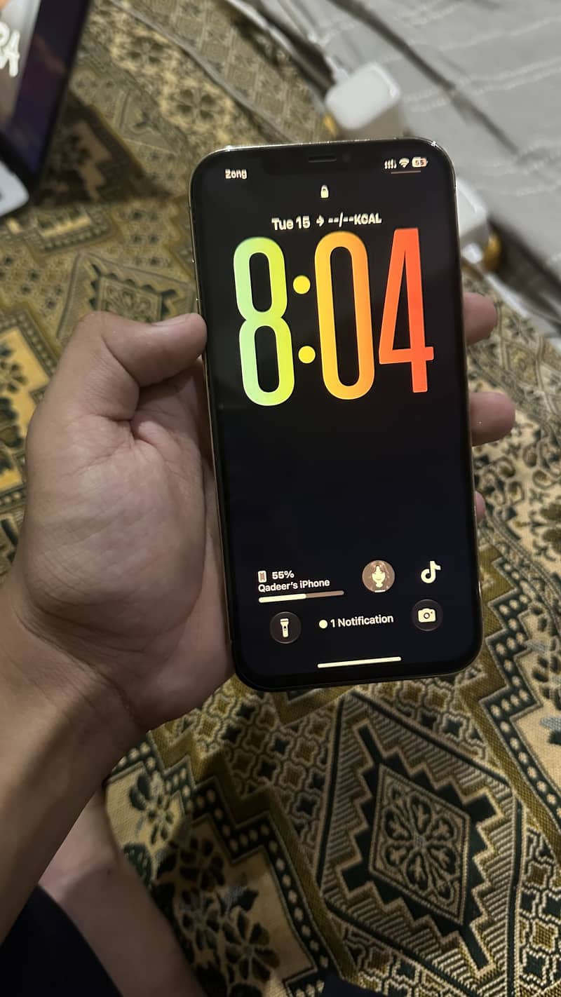 Apple iPhone 12 Pro Max 1