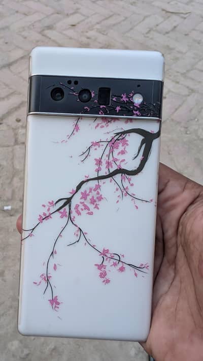 Google Pixel 6 Pro 12/128 Panel change