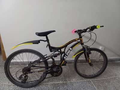 24 inch cycle in good condition