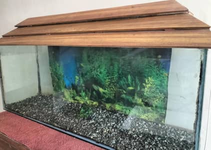 aquarium sale