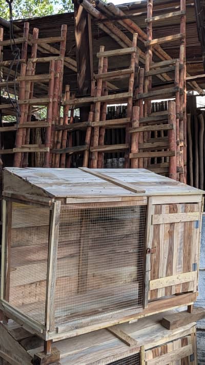 Cages In wooden