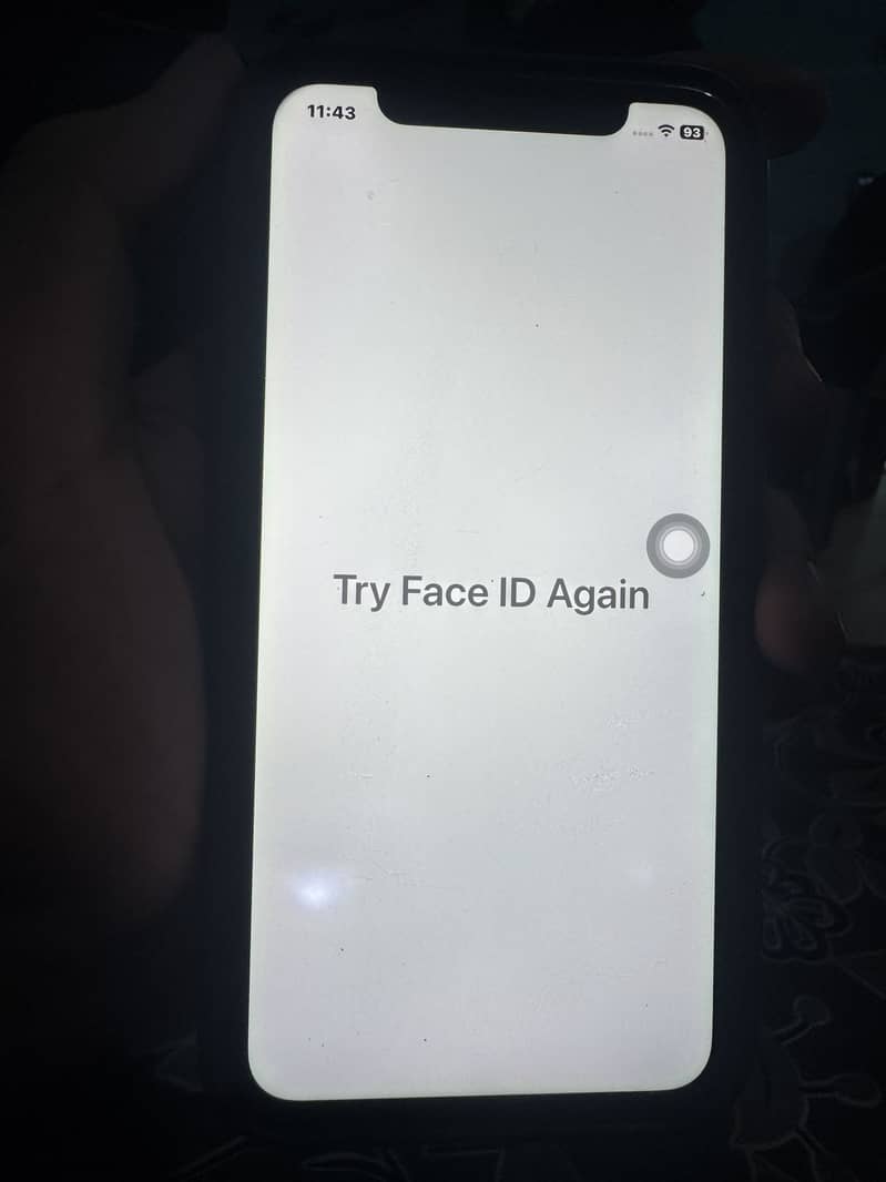 Apple iPhone 11 4