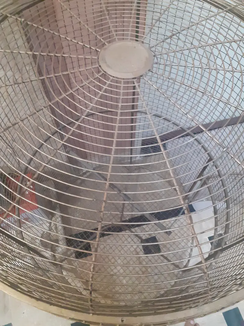 Raw parrot cage — photo 2