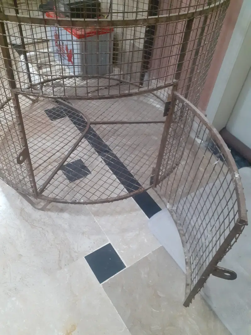 Raw parrot cage — photo 3