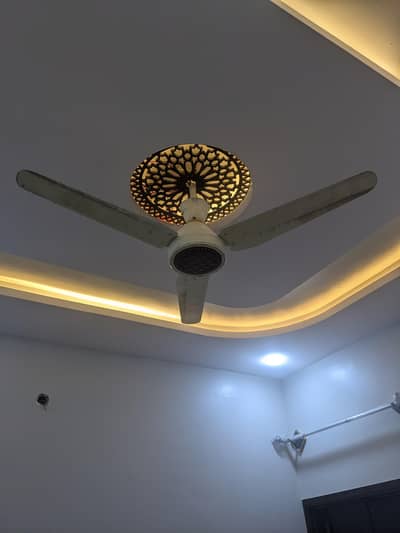 AC DC fan for sale