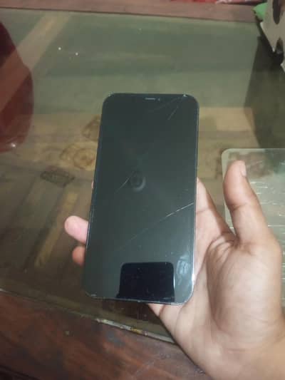 Apple iPhone 12 Pro Max
