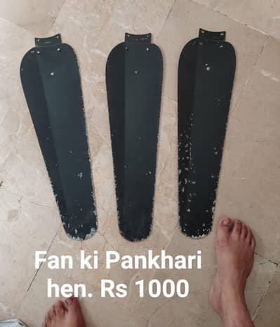Fan ki Pankhari hen