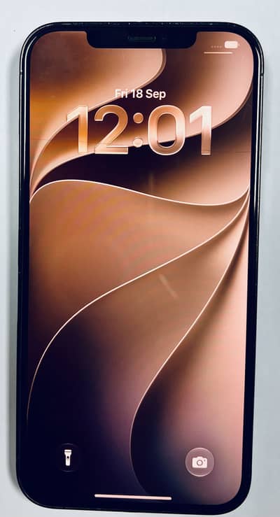 Apple iPhone 12 Pro Max