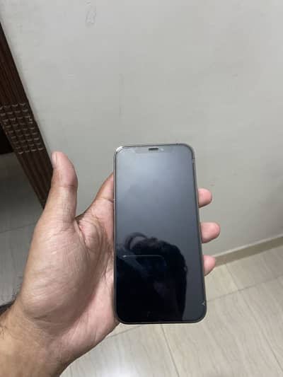 Apple iPhone 12 Pro