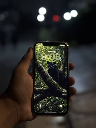 Apple iPhone 12 Pro Official PTA Approved
