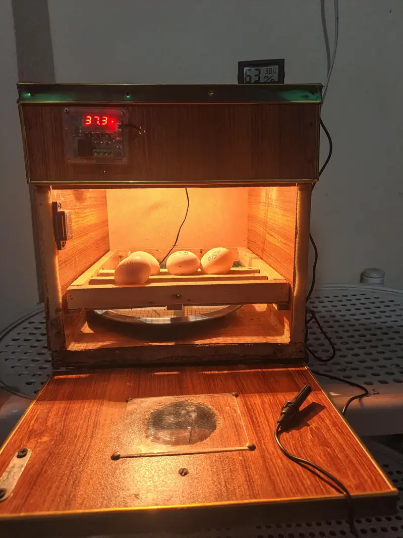 Manual Incubator — photo 2