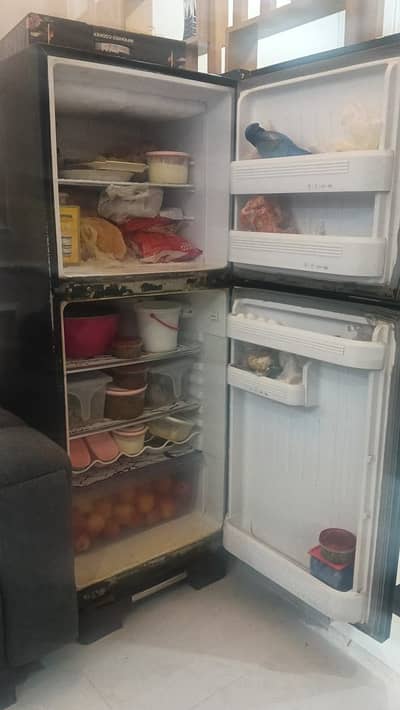 Haier refrigerators