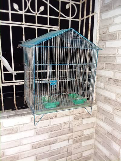 Birds cage