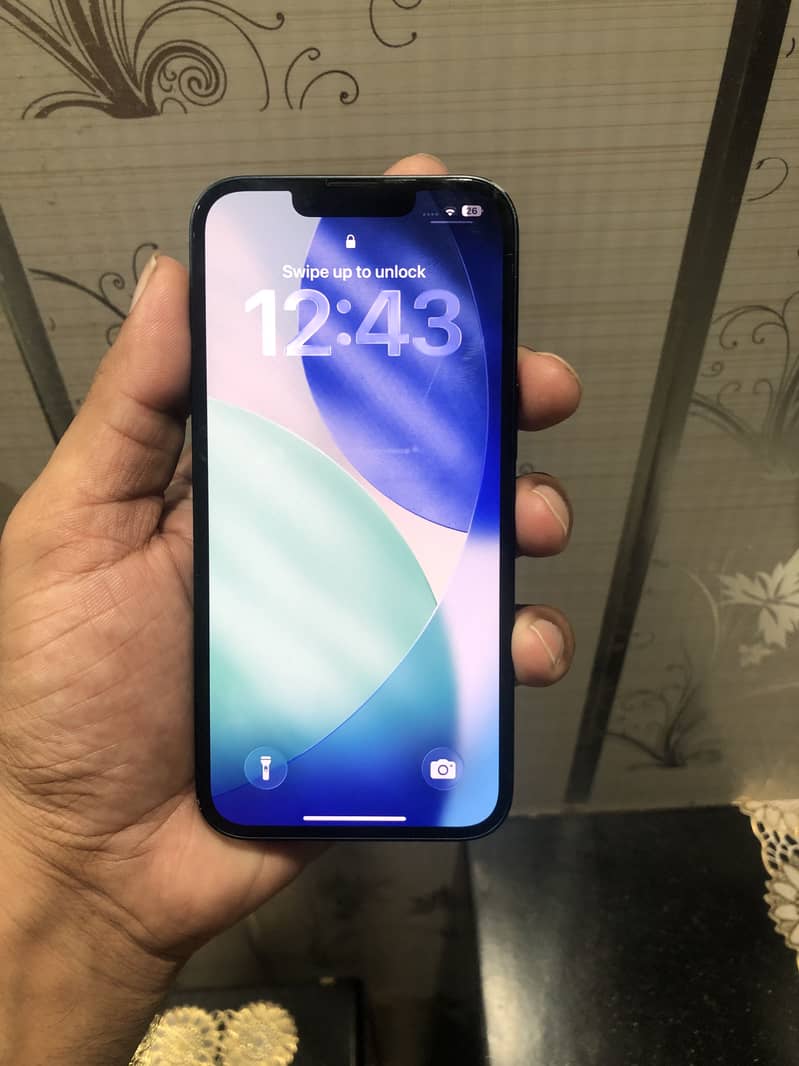Apple iPhone 13 0