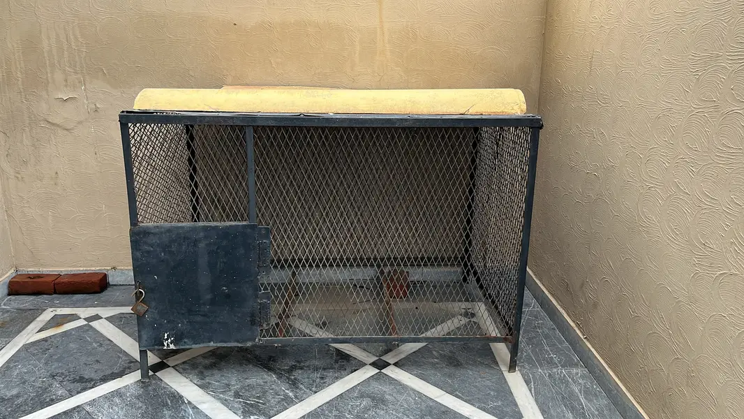 Steel cage for animal