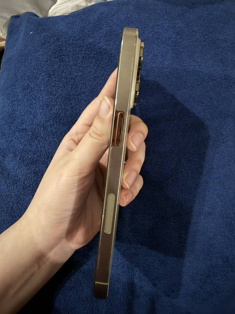 Apple iPhone 14 Pro Max 2