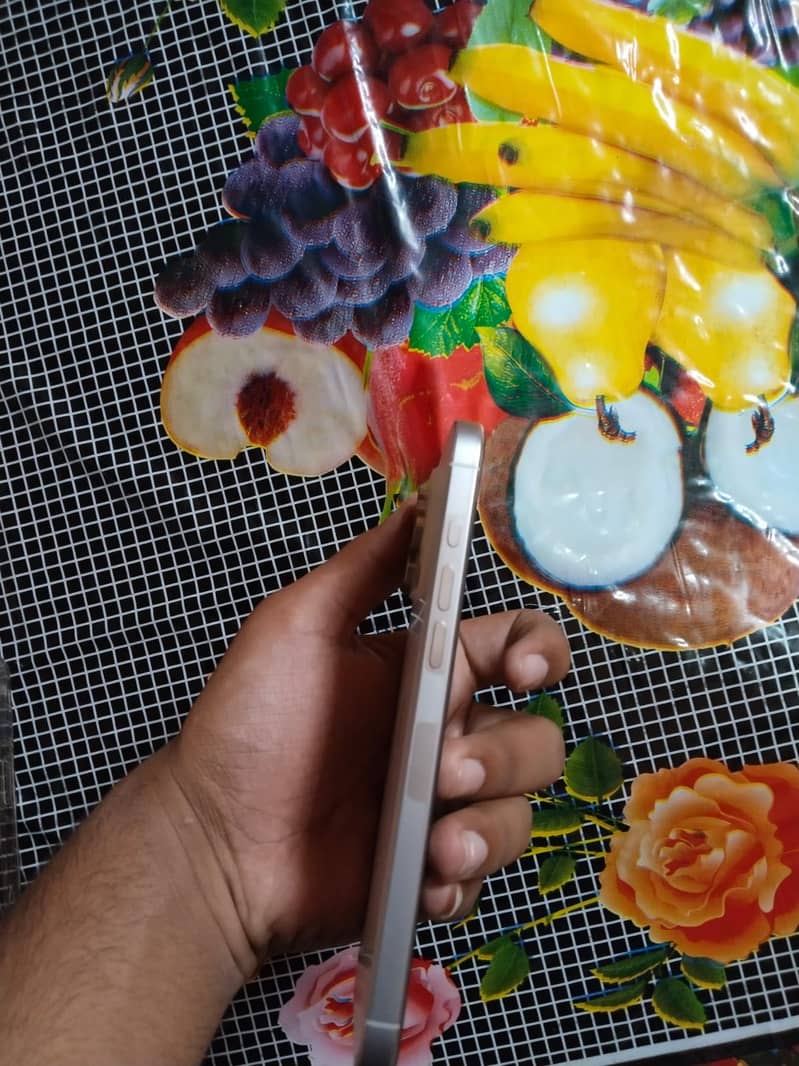 Apple iPhone 16 Pro Max 2