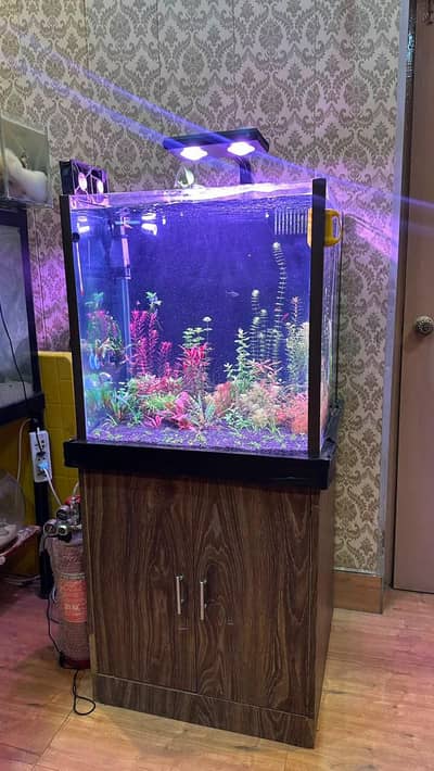 Fish aquarium with back Sump