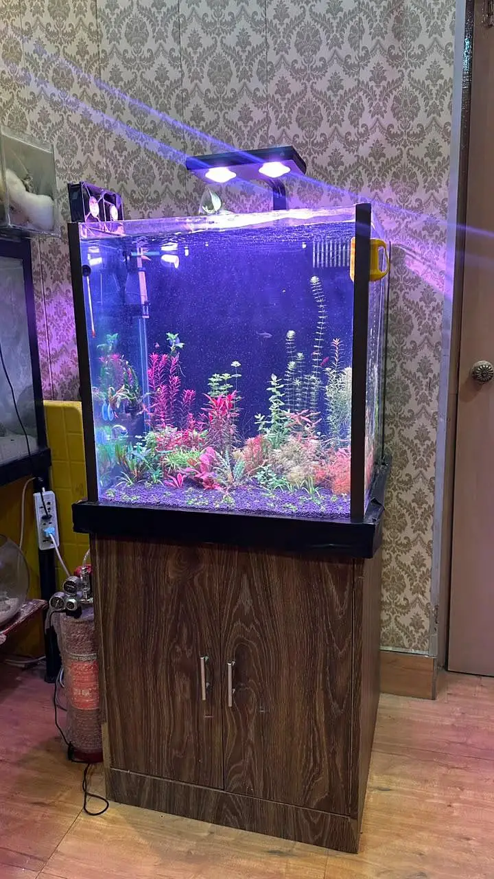 Fish aquarium with back Sump